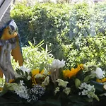 酒店 阿拉斯纳岩石酒店