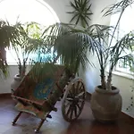 酒店 阿拉斯纳岩石酒店 4*